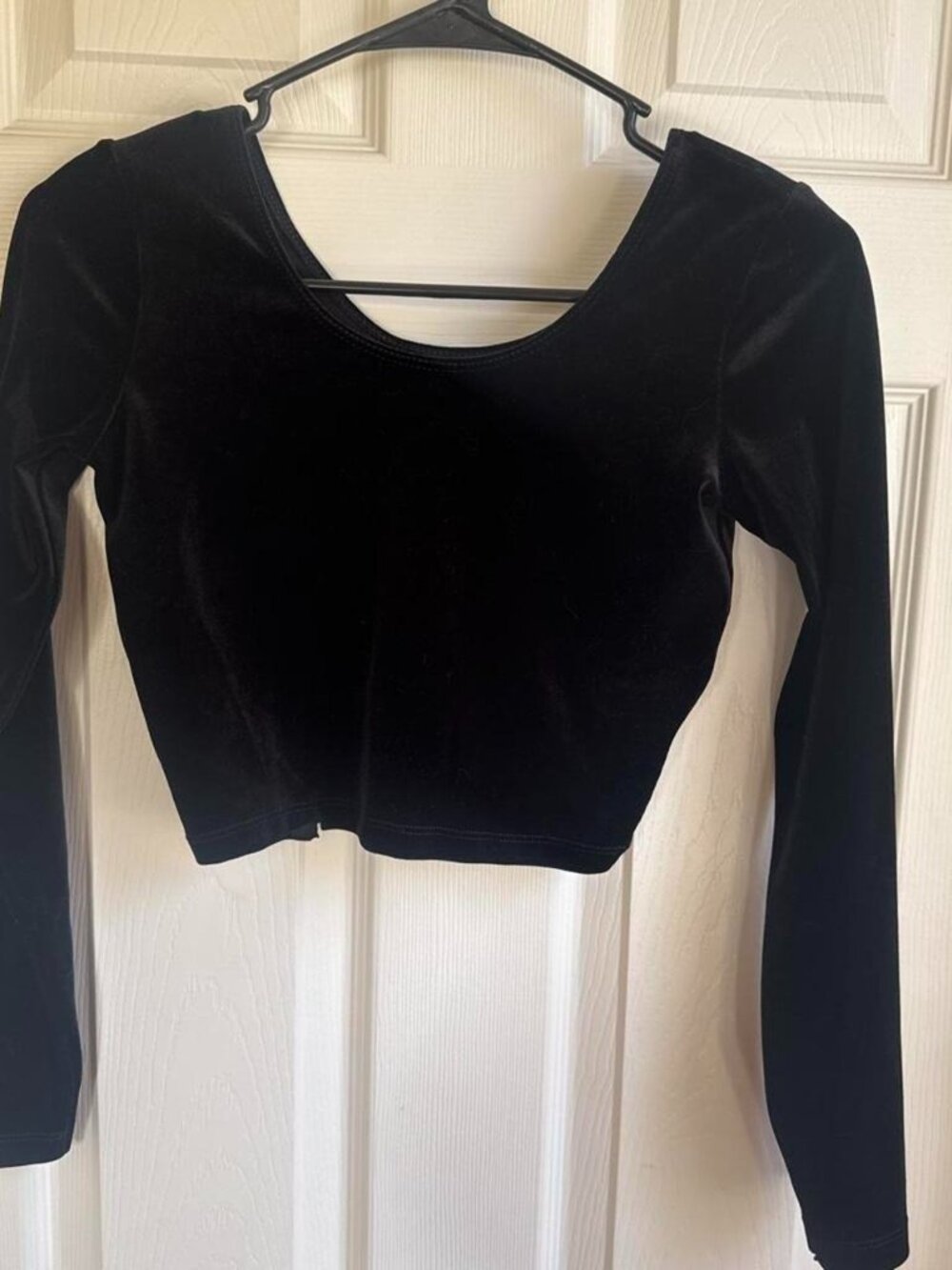 American Apparel Velvet Long Sleeve Crop Top